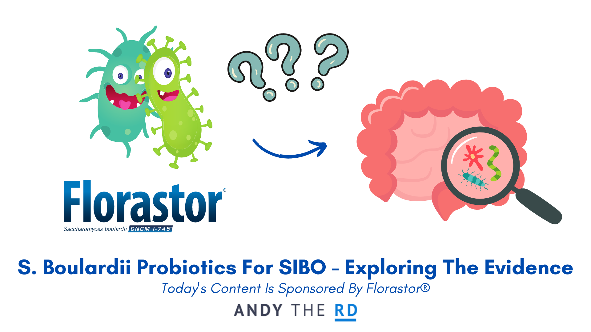 S. Boulardii Probiotics For SIBO – Do They Help?