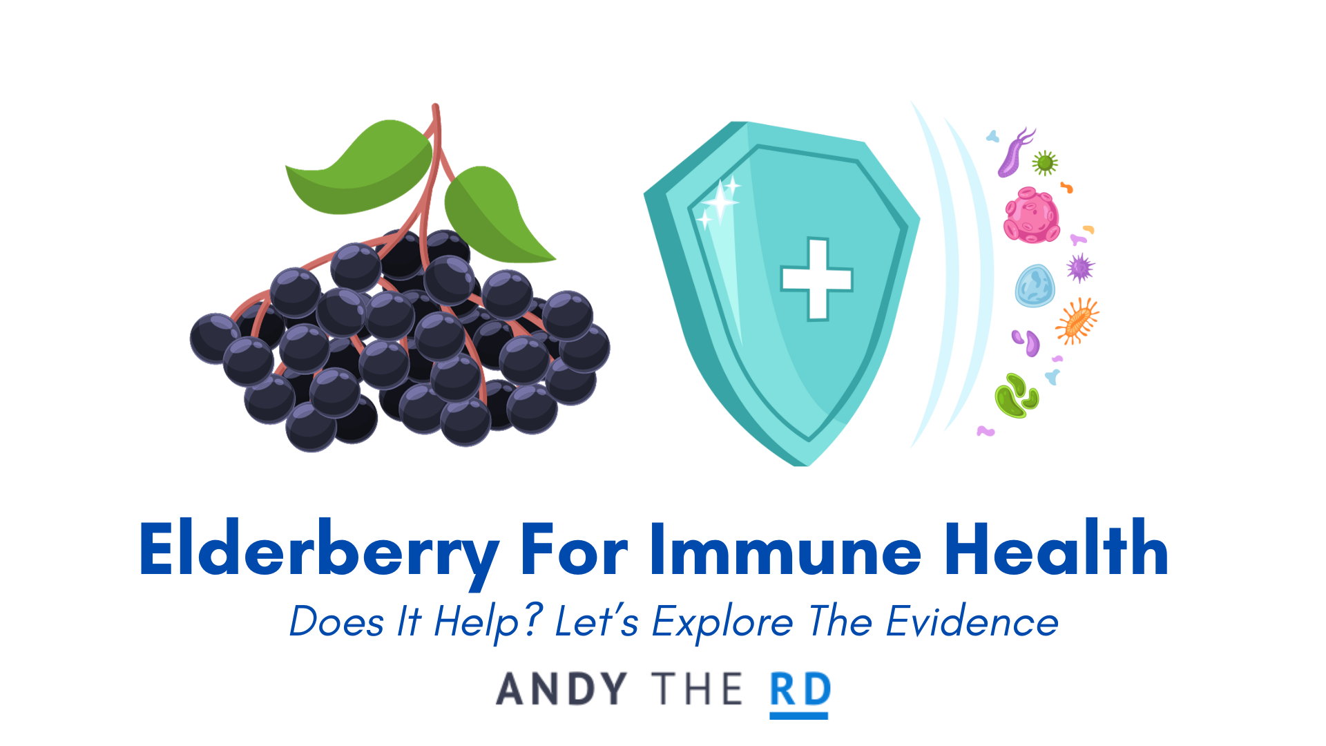 Elderberry & Vitamin C For The Common Cold