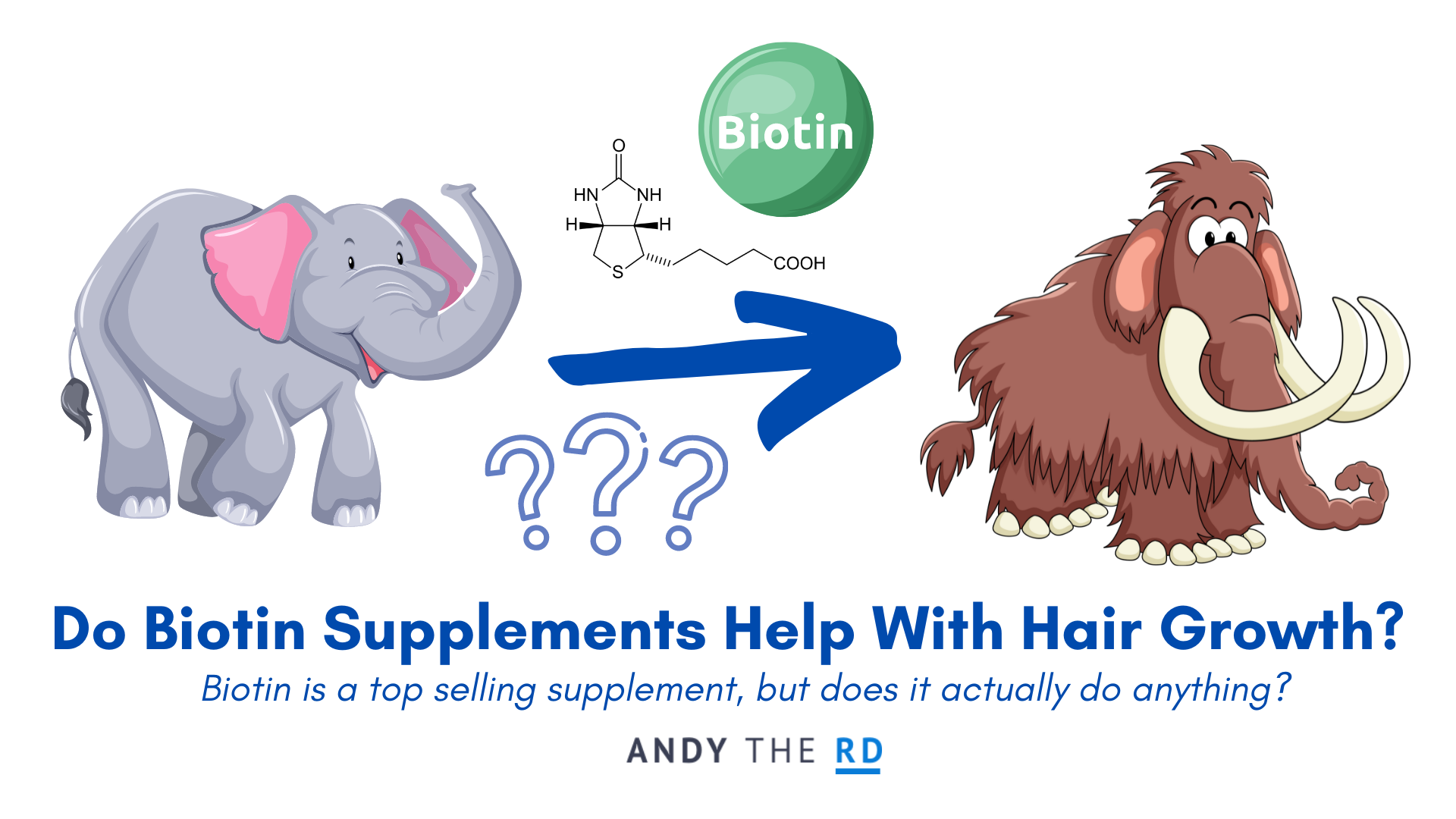 Do Biotin Supplements Help With Thinning Hair? - Andy The RD