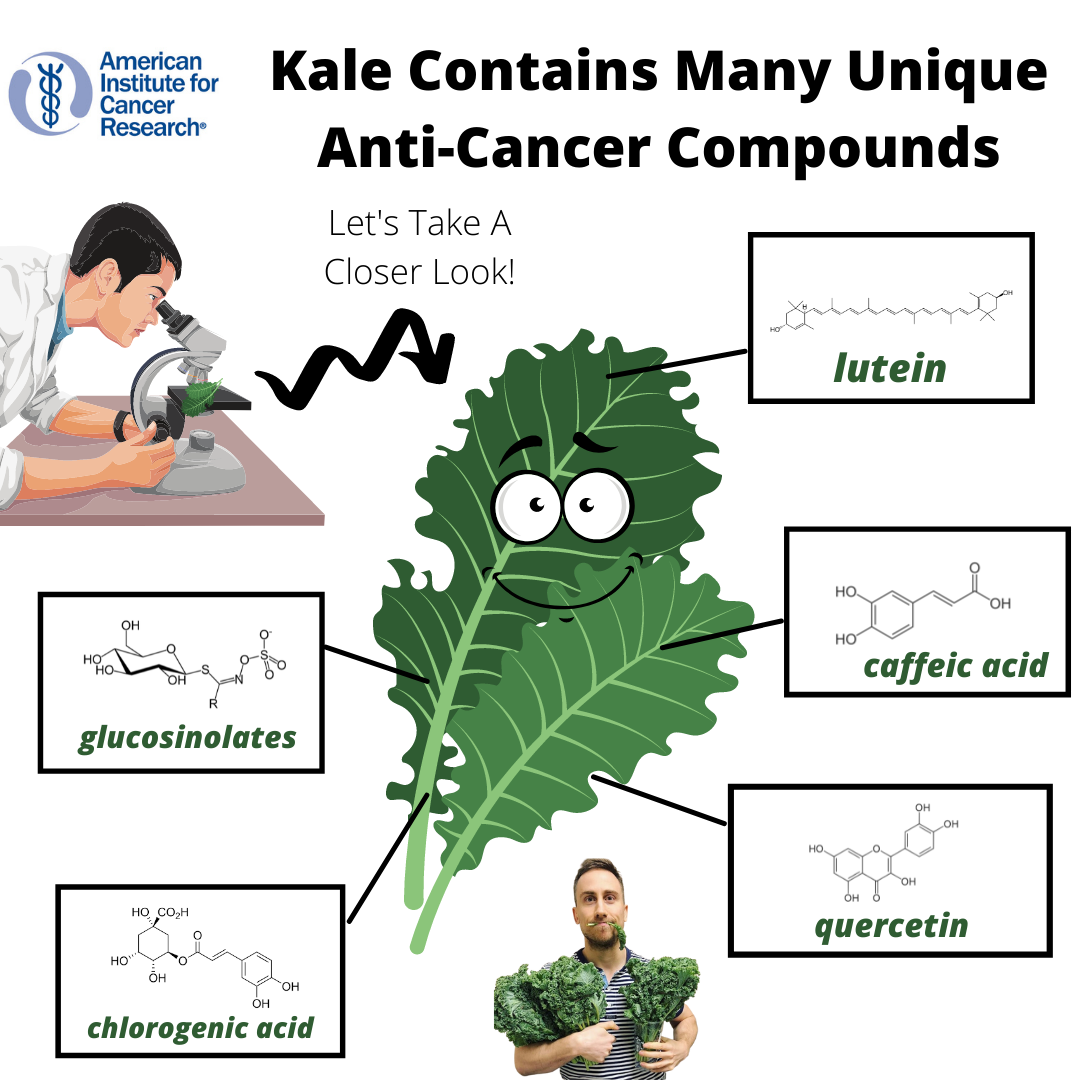 Kale Contains Many Unique Anti-Cancer Compounds - Andy The RD