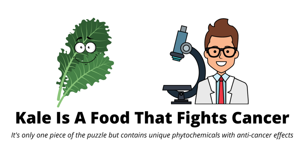 Kale Contains Many Unique AntiCancer Compounds Andy The RD