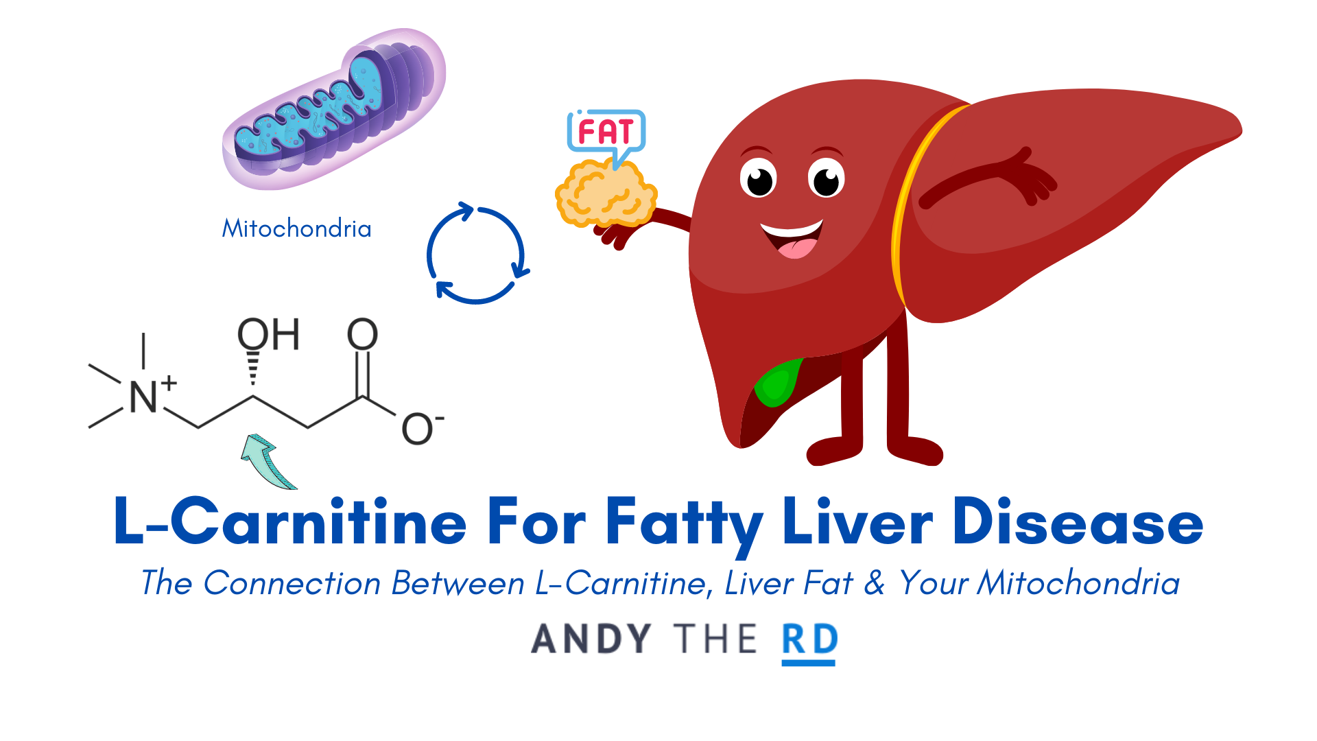 L-Carnitine For Liver Health [Fatty Liver Disease]
