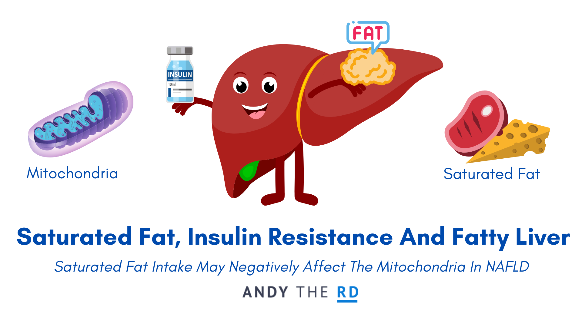 Saturated Fat, Insulin Resistance & Liver Fat [NAFLD]