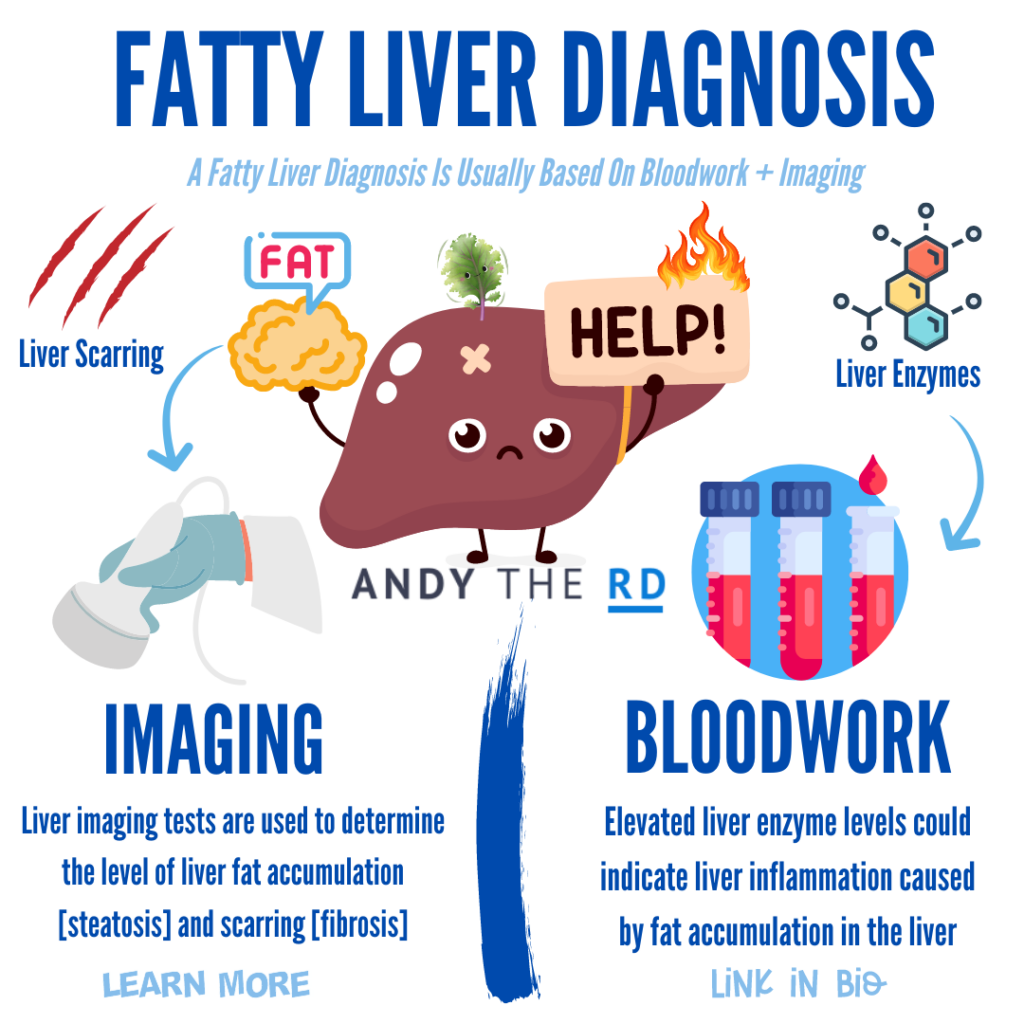 An Introduction To Fatty Liver Disease [NAFLD] - Andy The RD